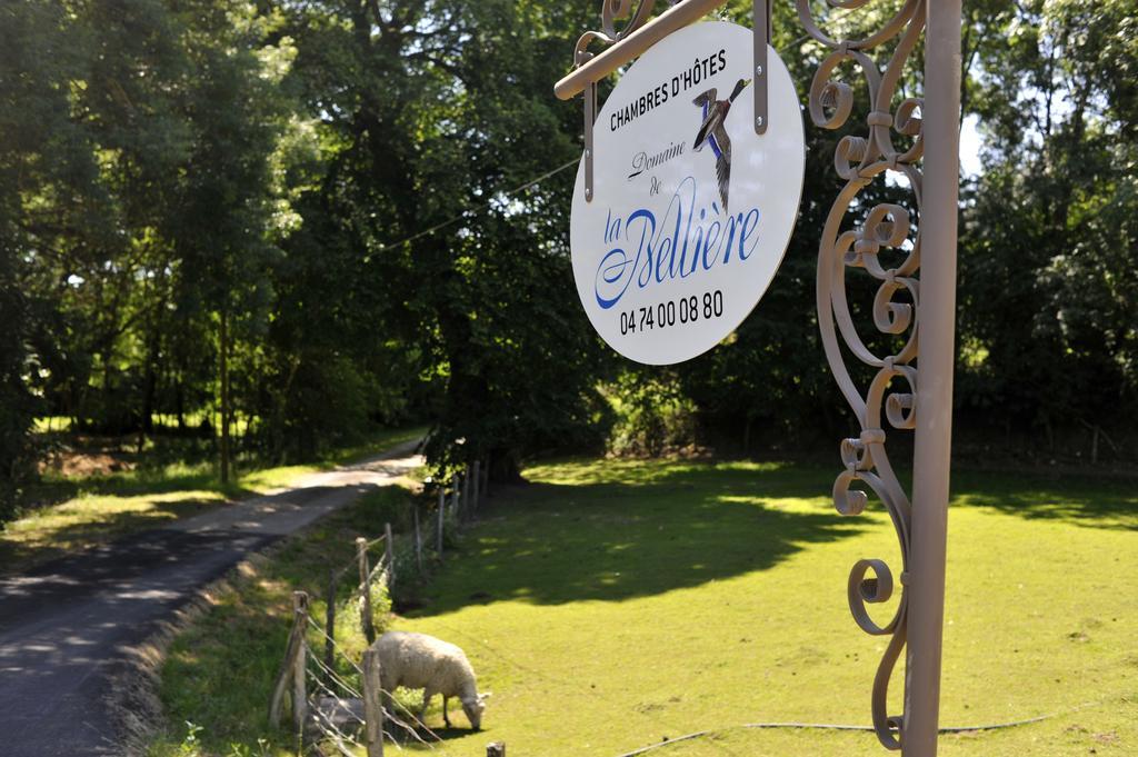 Отель Domaine De La Belliere Виллар-ле-Домб Экстерьер фото